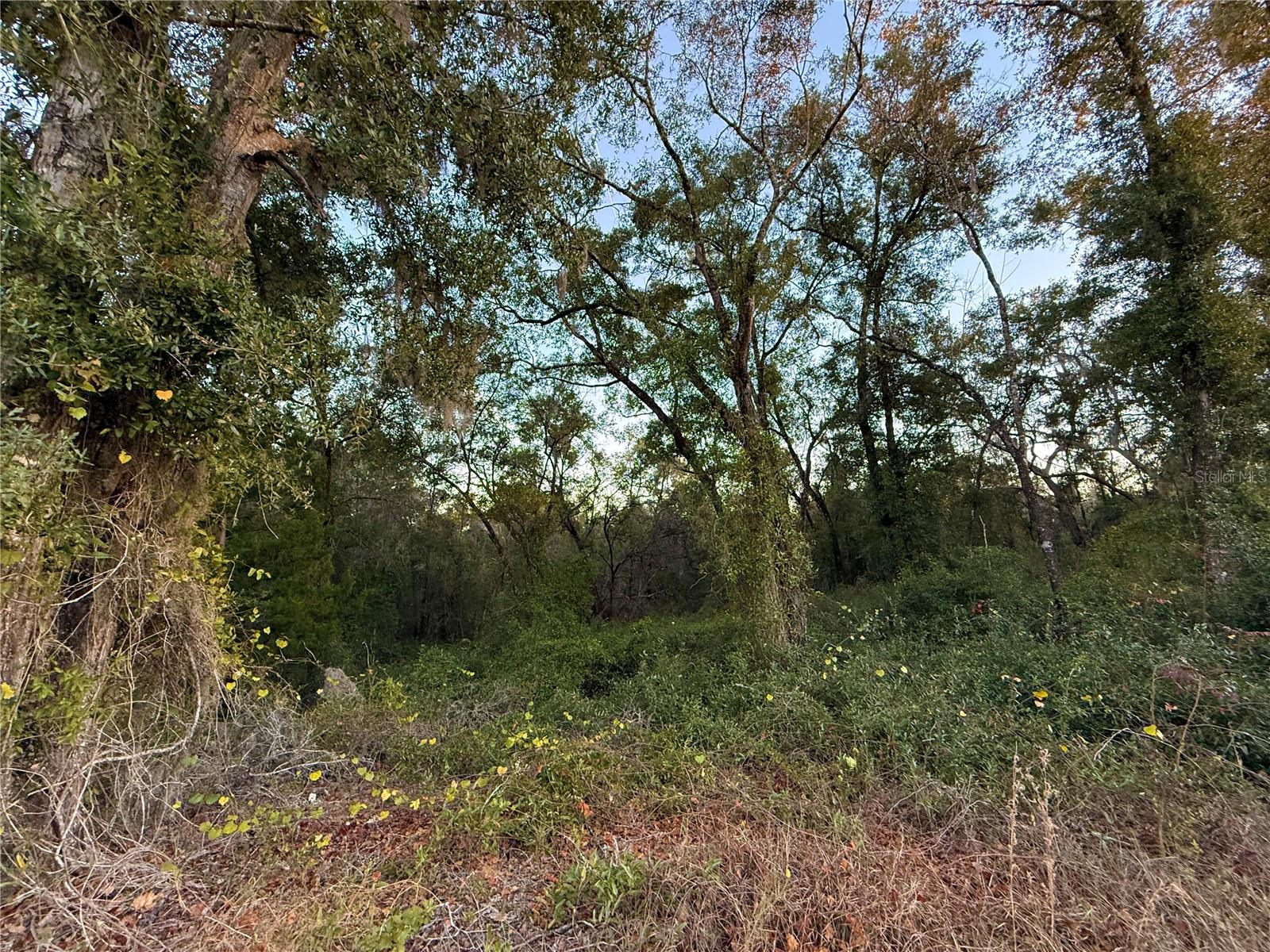 Image 10 of 19 For 0 E Thrasher Dr