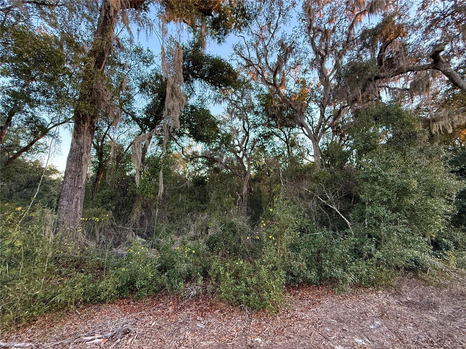 Image 12 of 19 For 0 E Thrasher Dr