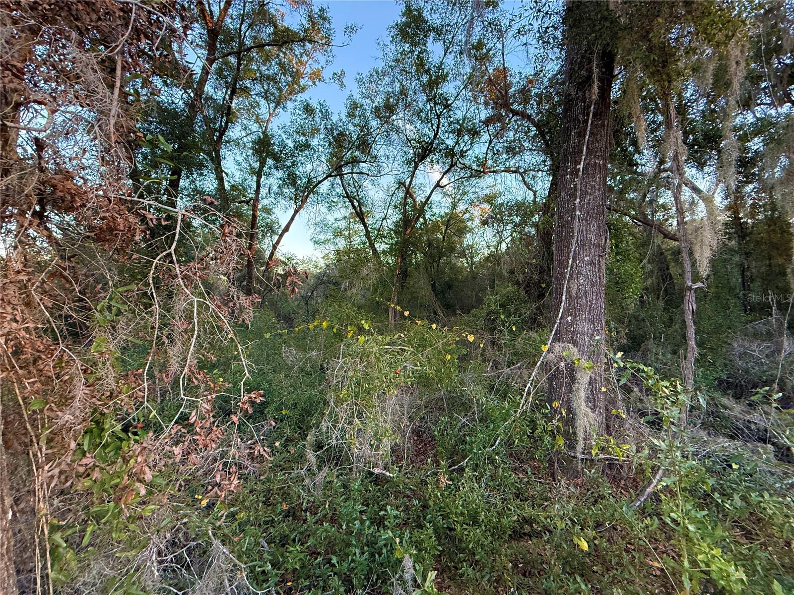 Image 15 of 19 For 0 E Thrasher Dr