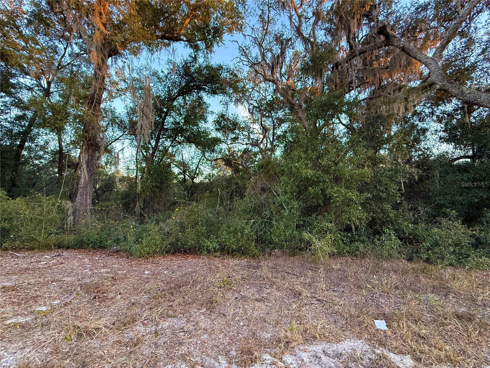 Image 16 of 19 For 0 E Thrasher Dr