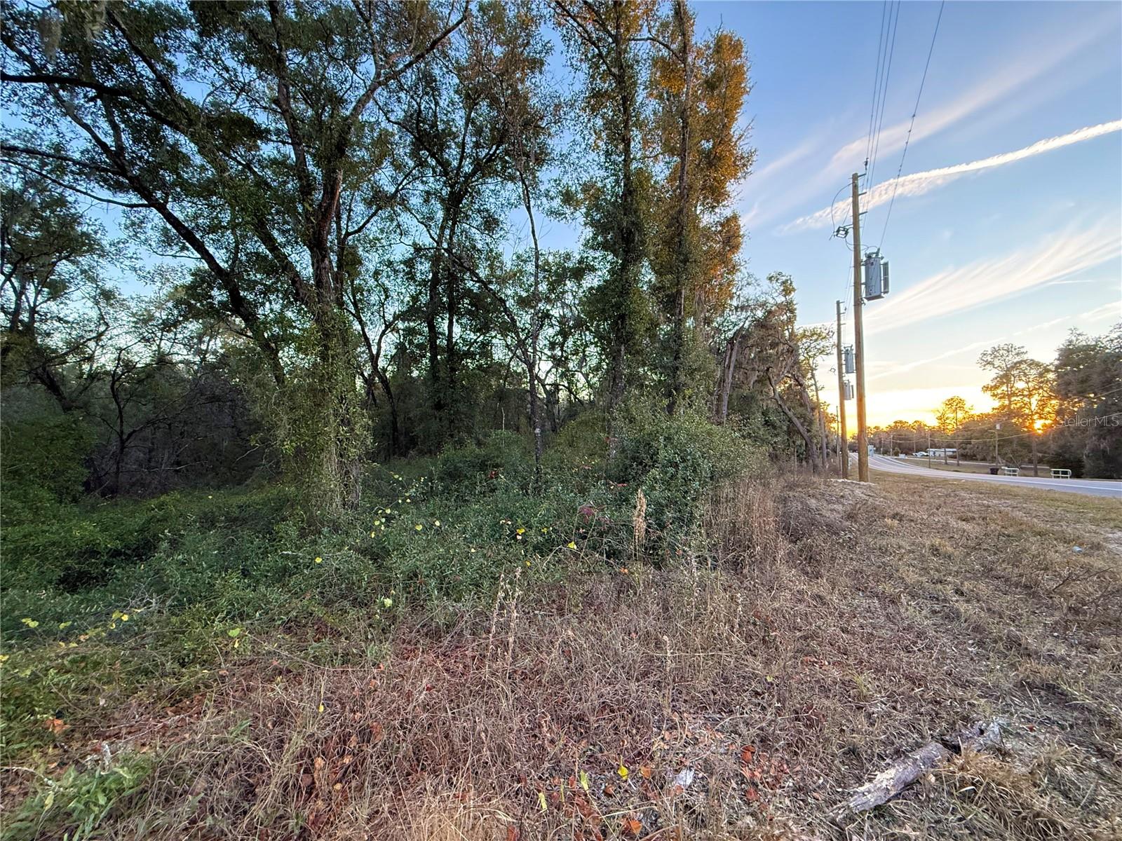 Image 19 of 19 For 0 E Thrasher Dr