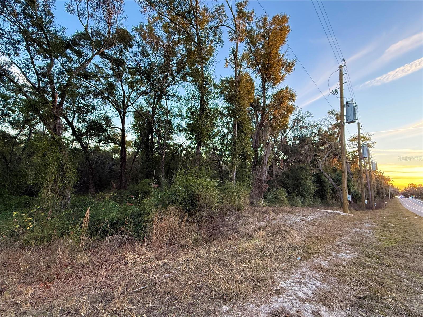 Image 4 of 19 For 0 E Thrasher Dr