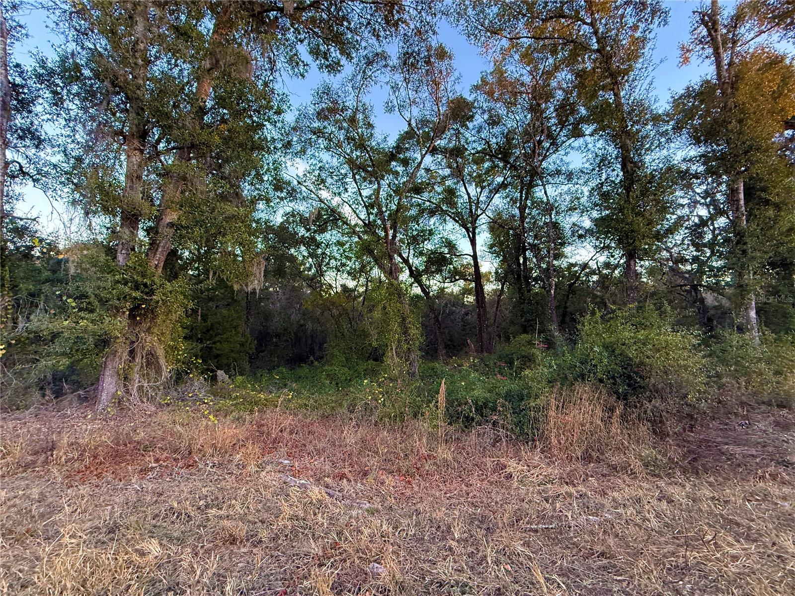 Image 8 of 19 For 0 E Thrasher Dr