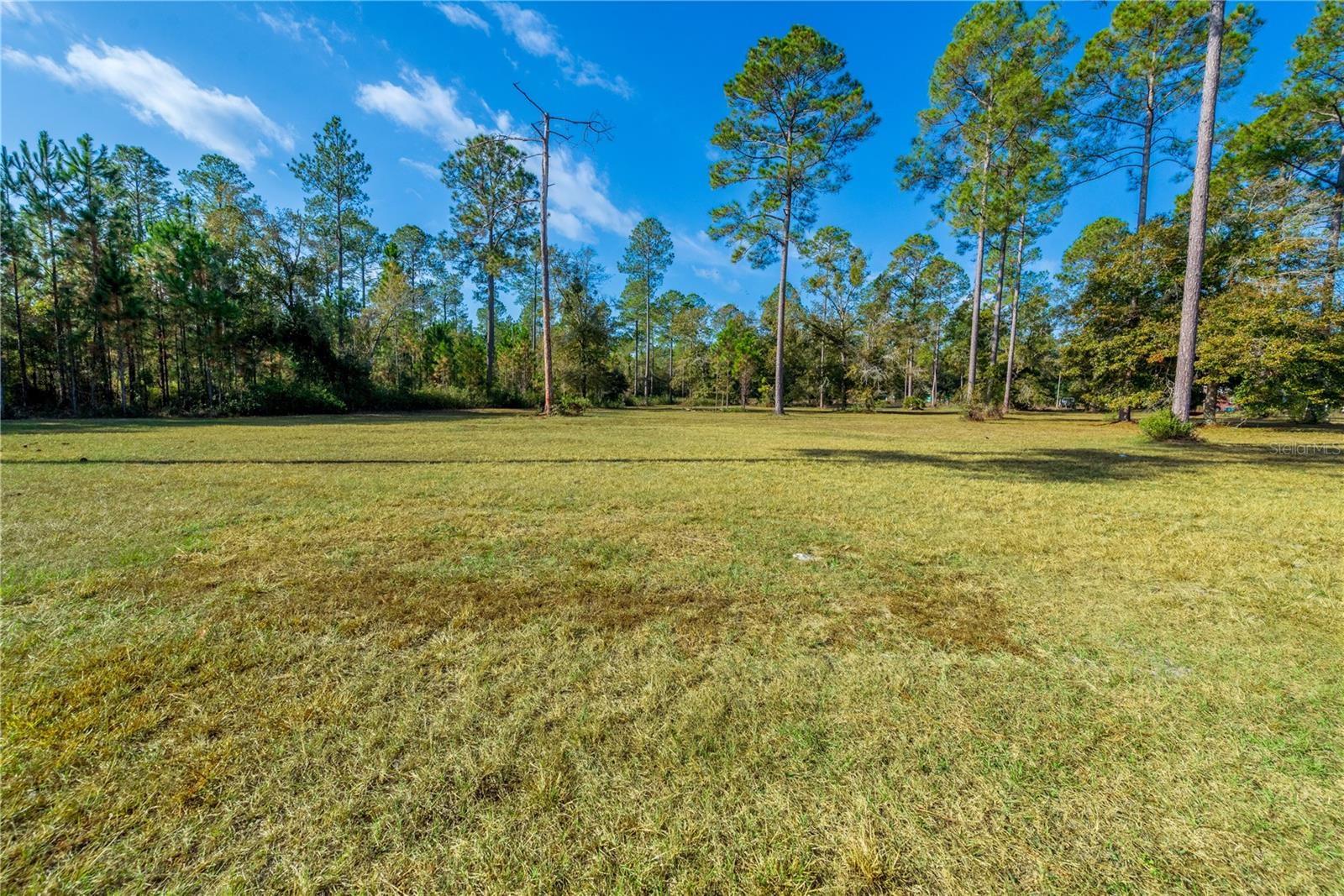 Image 38 of 41 For 6379 161st Run