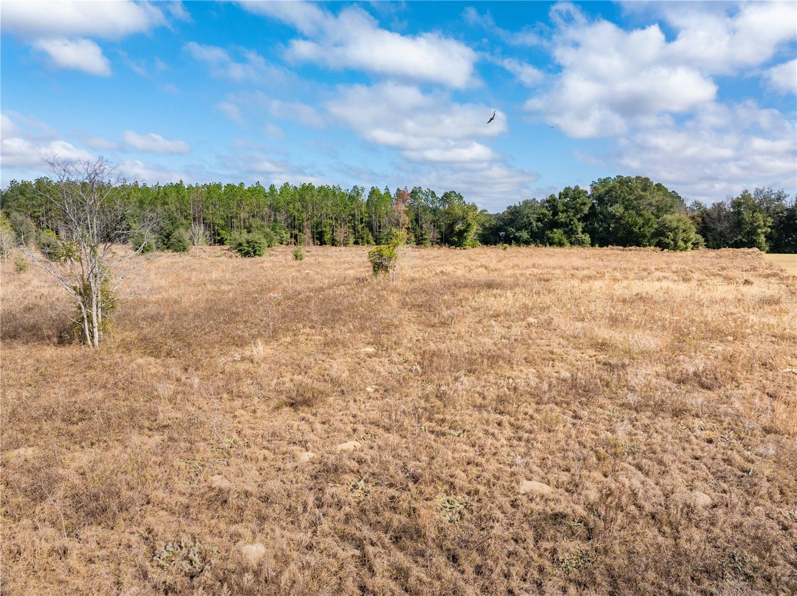 Image 42 of 45 For 0 Milo Terrace