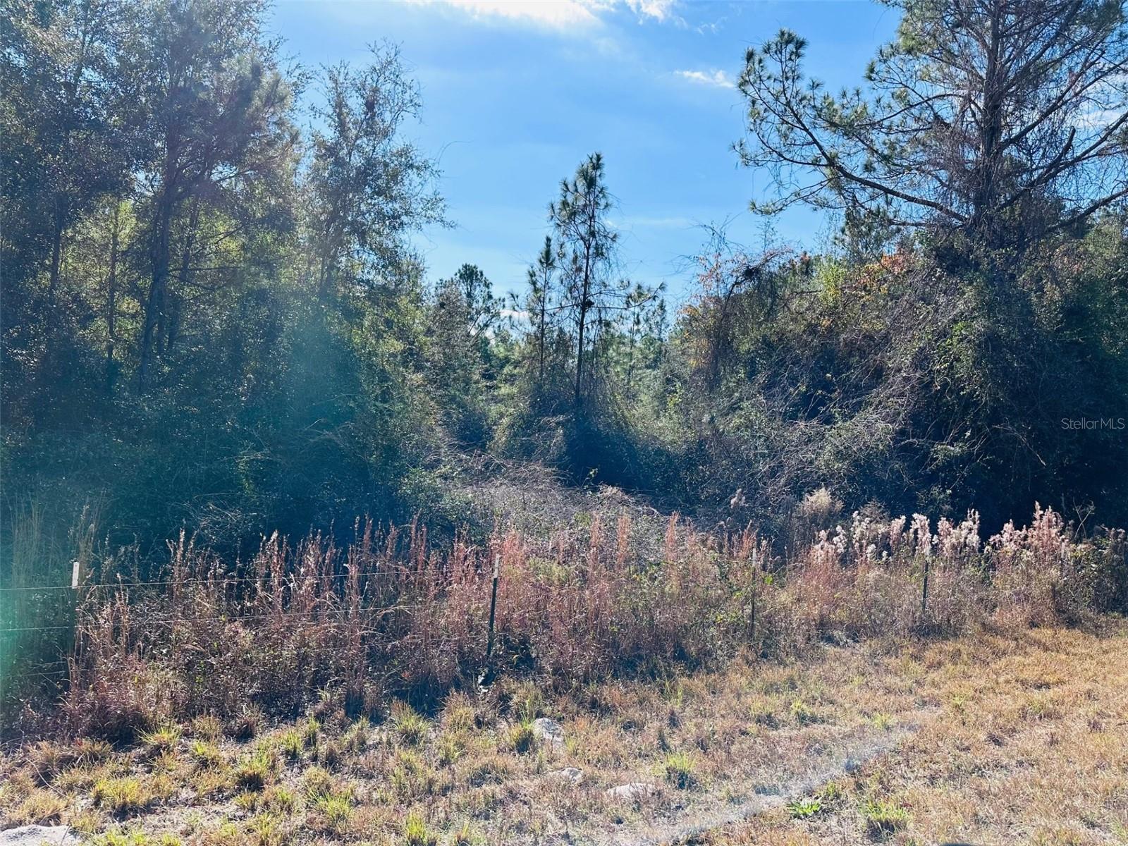 Image 10 of 12 For 0 126 Street