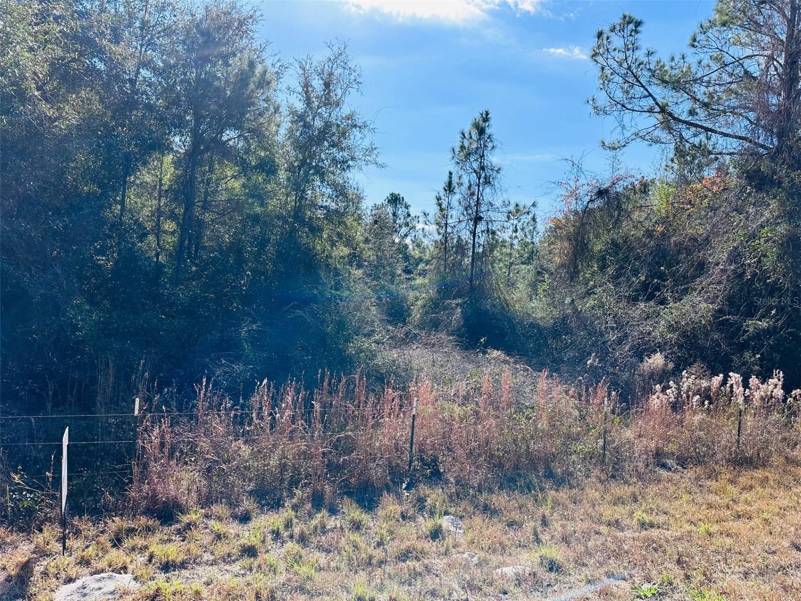 Image 9 of 12 For 0 126 Street