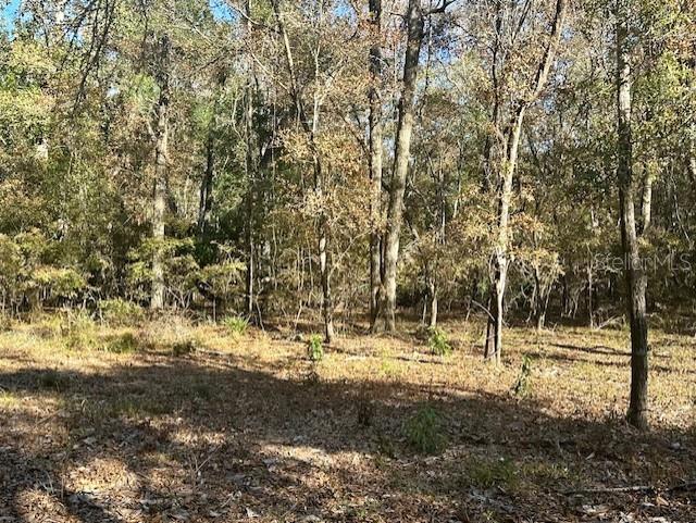 Image 10 of 18 For 1058 78th Avenue