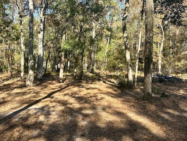 Image 11 of 18 For 1058 78th Avenue