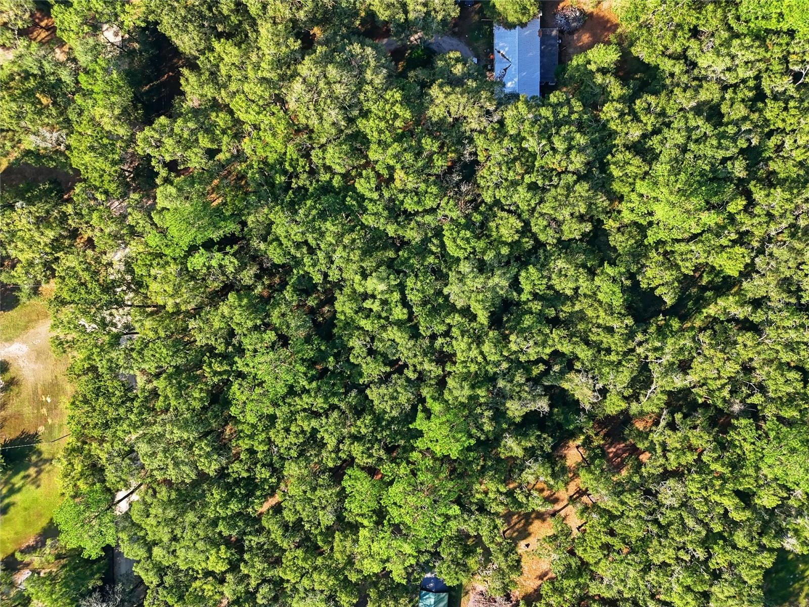 Image 6 of 10 For 000 40th Street