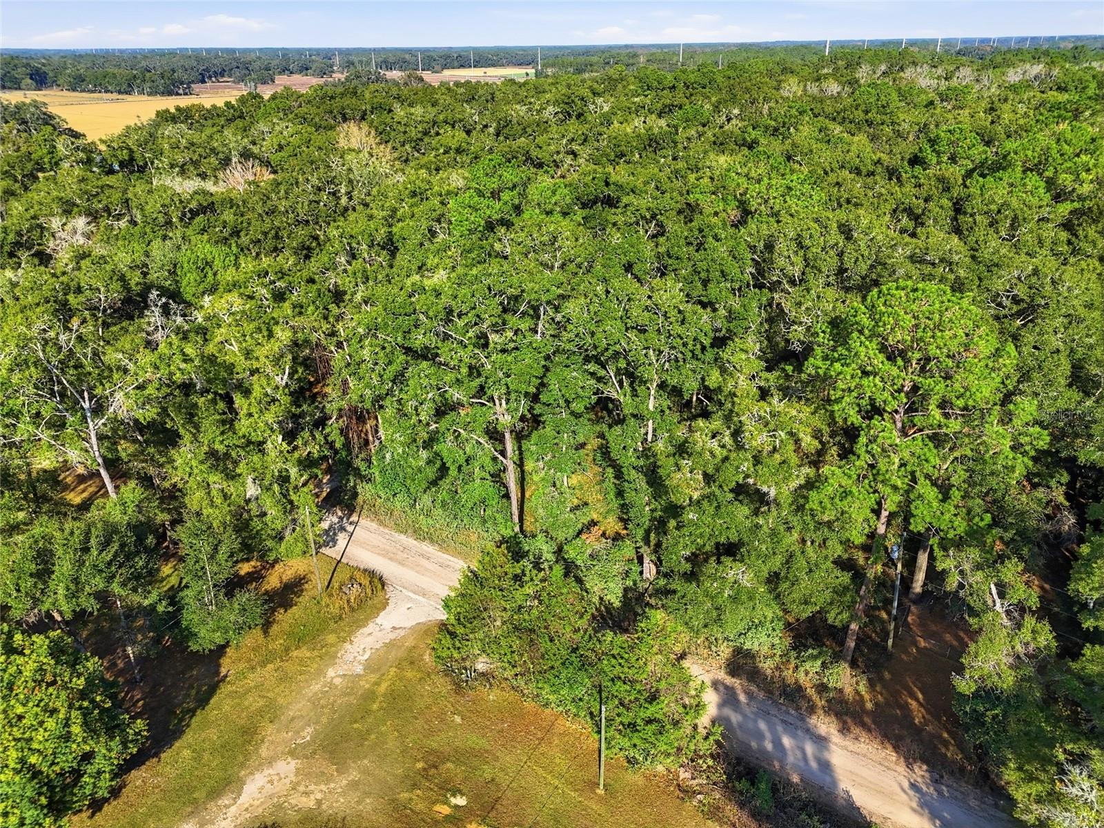 Image 7 of 10 For 000 40th Street