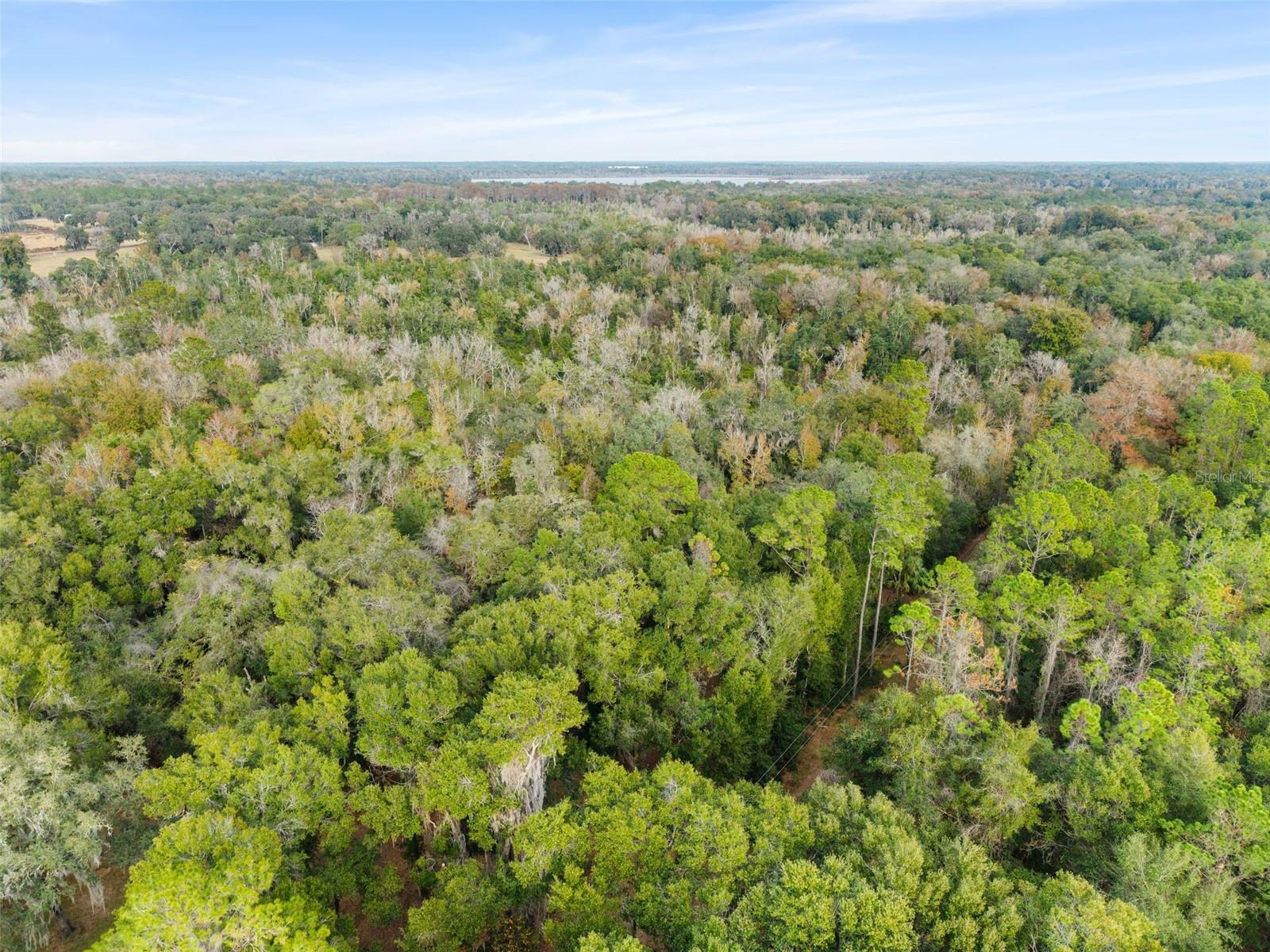 Image 11 of 11 For  225th Drive 