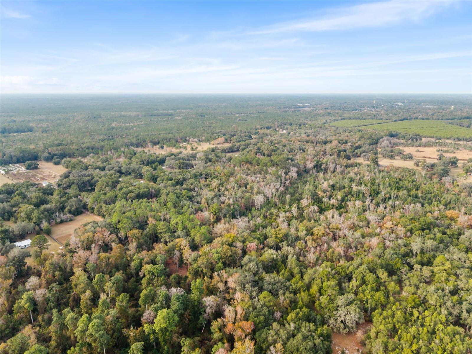 Image 6 of 11 For  225th Drive 