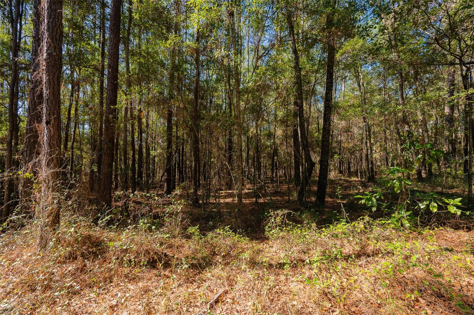 Image 11 of 22 For Tbd County Rd 1491