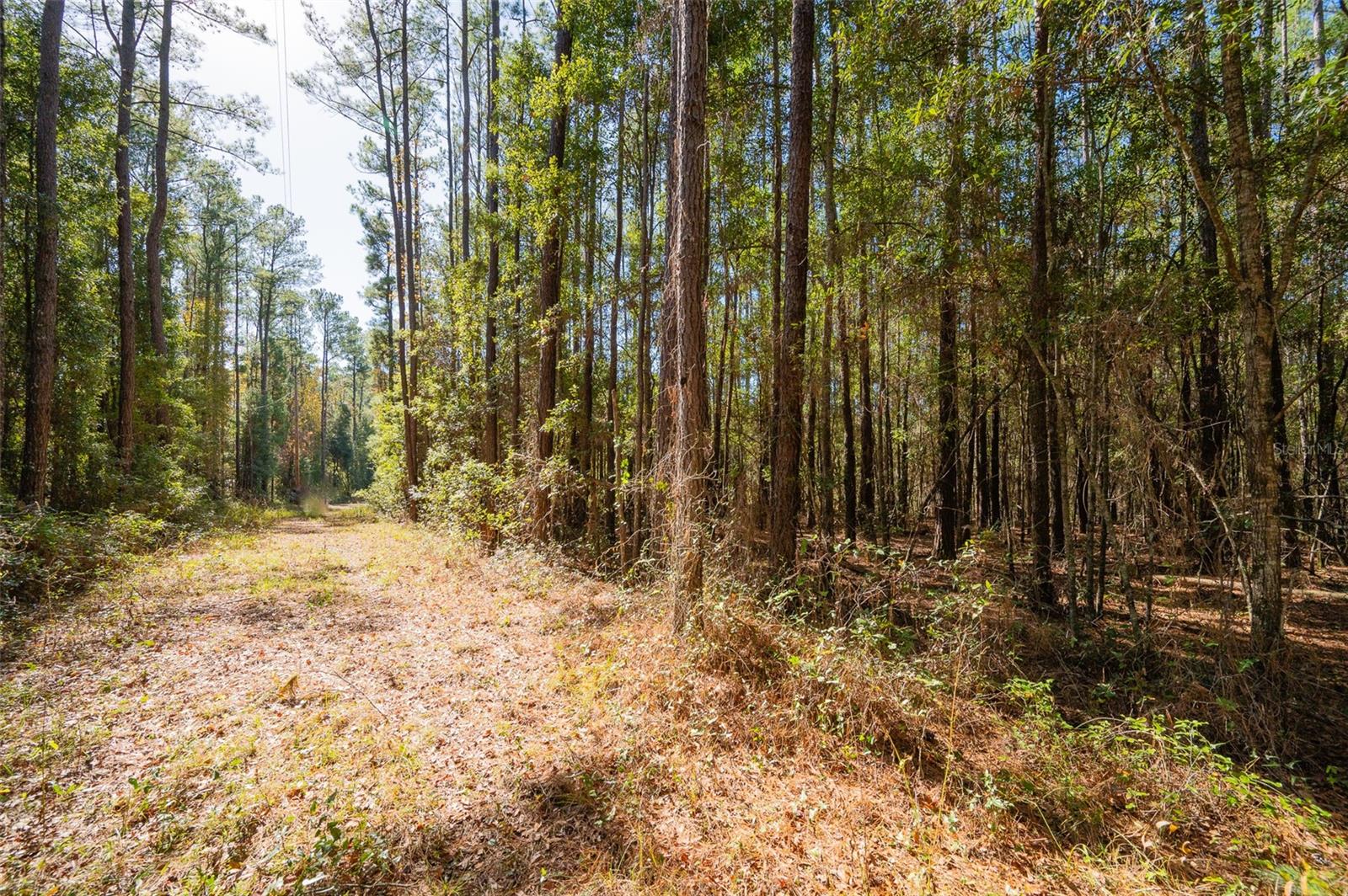 Image 12 of 22 For Tbd County Rd 1491