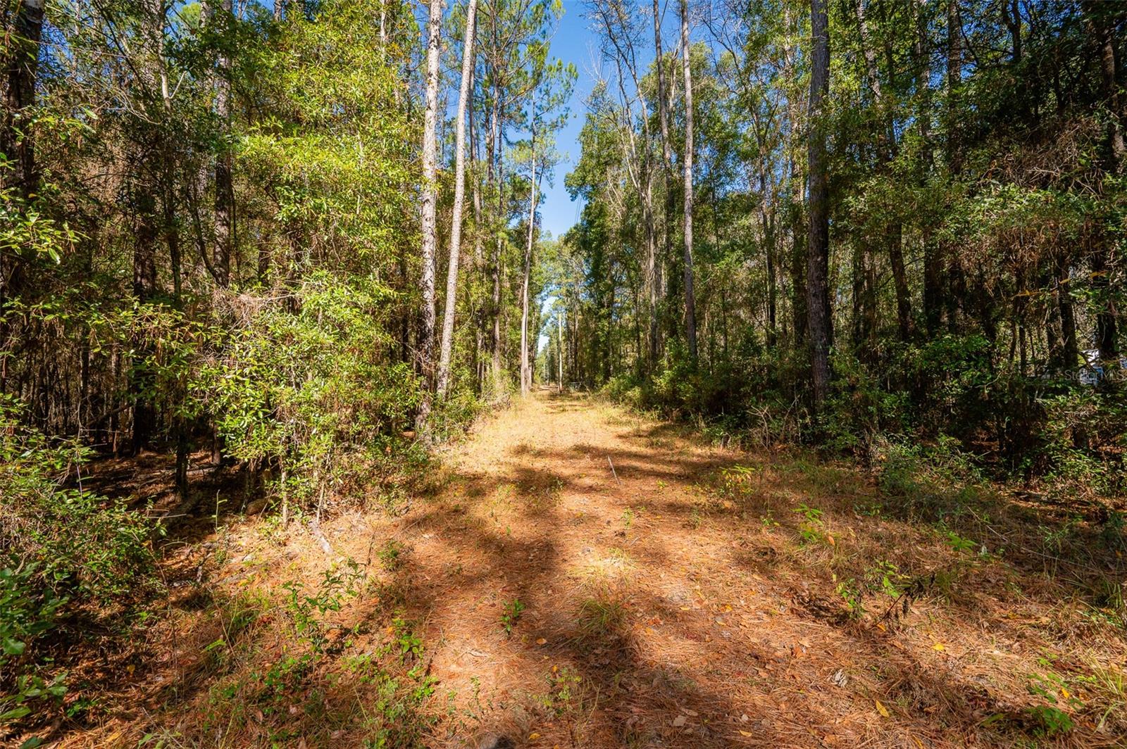Image 13 of 22 For Tbd County Rd 1491