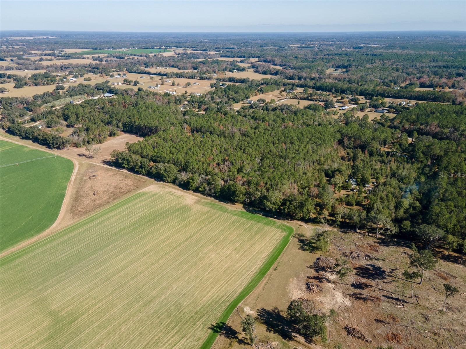 Image 19 of 22 For Tbd County Rd 1491
