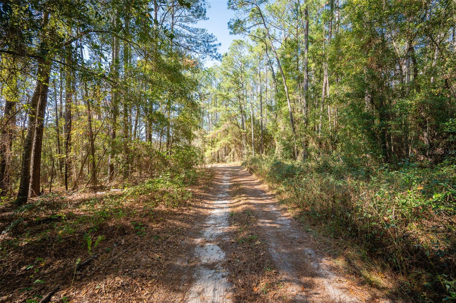 Image 20 of 22 For Tbd County Rd 1491