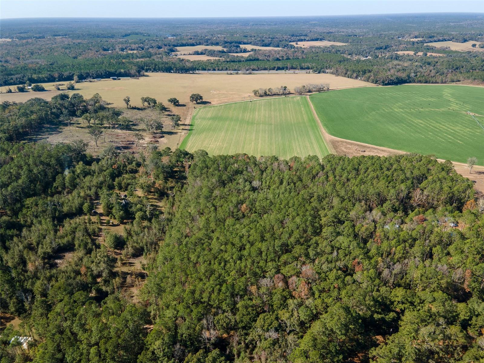 Image 4 of 22 For Tbd County Rd 1491