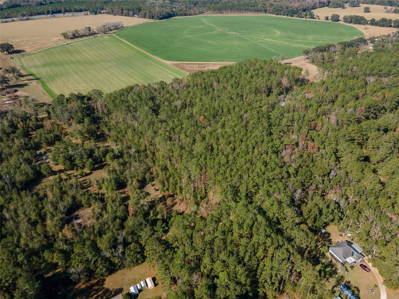 Image 6 of 22 For Tbd County Rd 1491