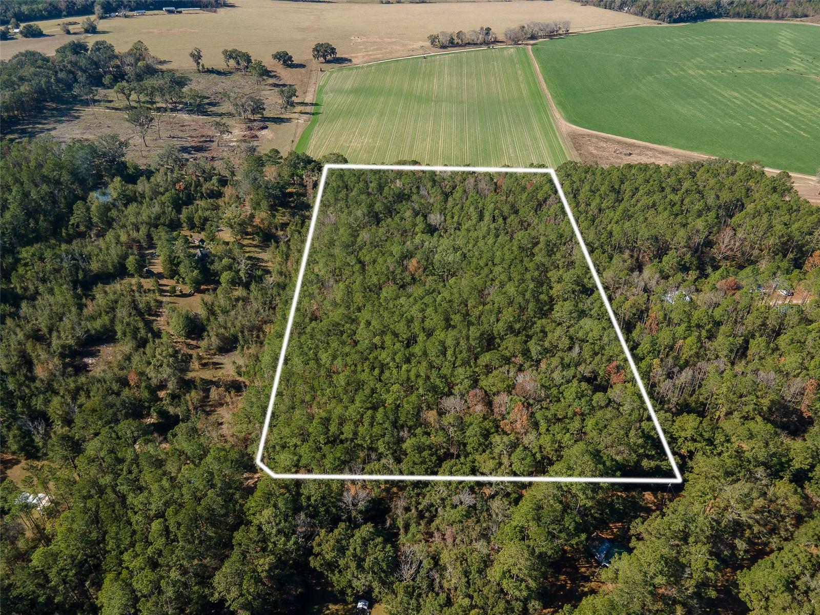 Image 7 of 22 For Tbd County Rd 1491