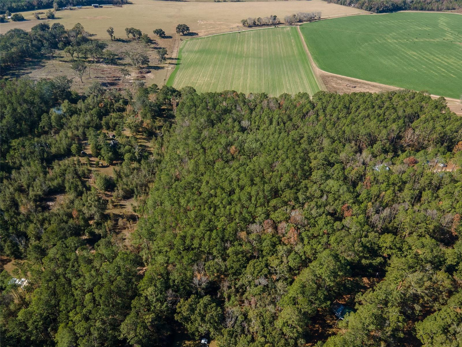 Image 8 of 22 For Tbd County Rd 1491