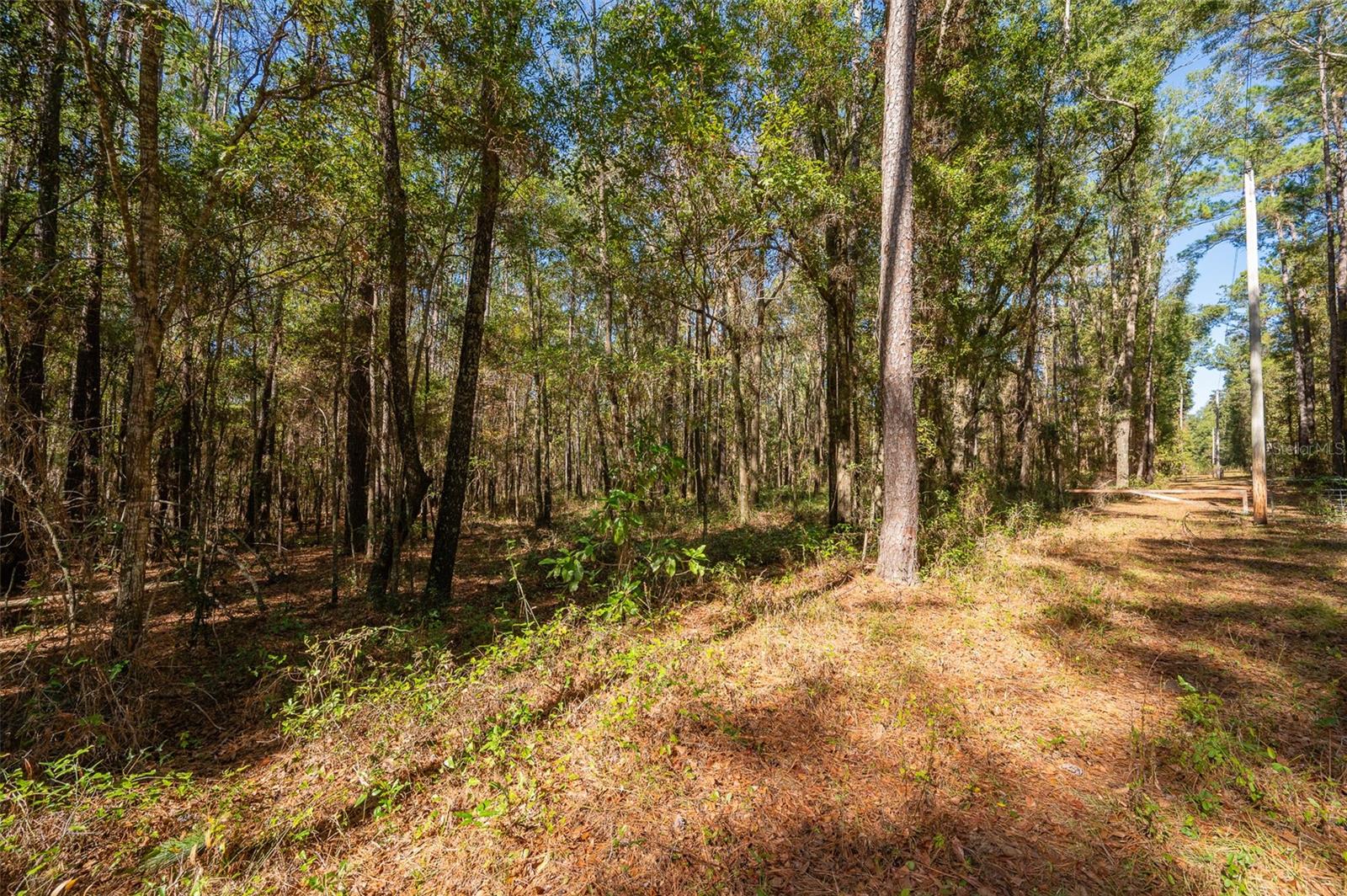 Image 9 of 22 For Tbd County Rd 1491