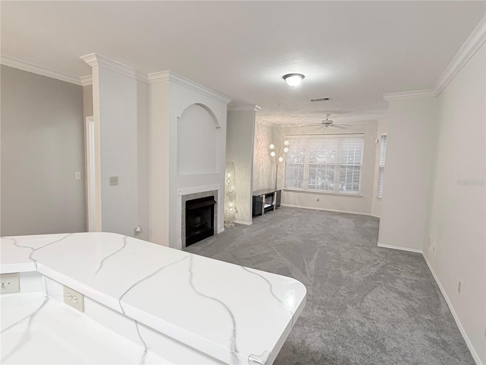 Image 9 of 30 For 13810 Sutton Park Drive N 123