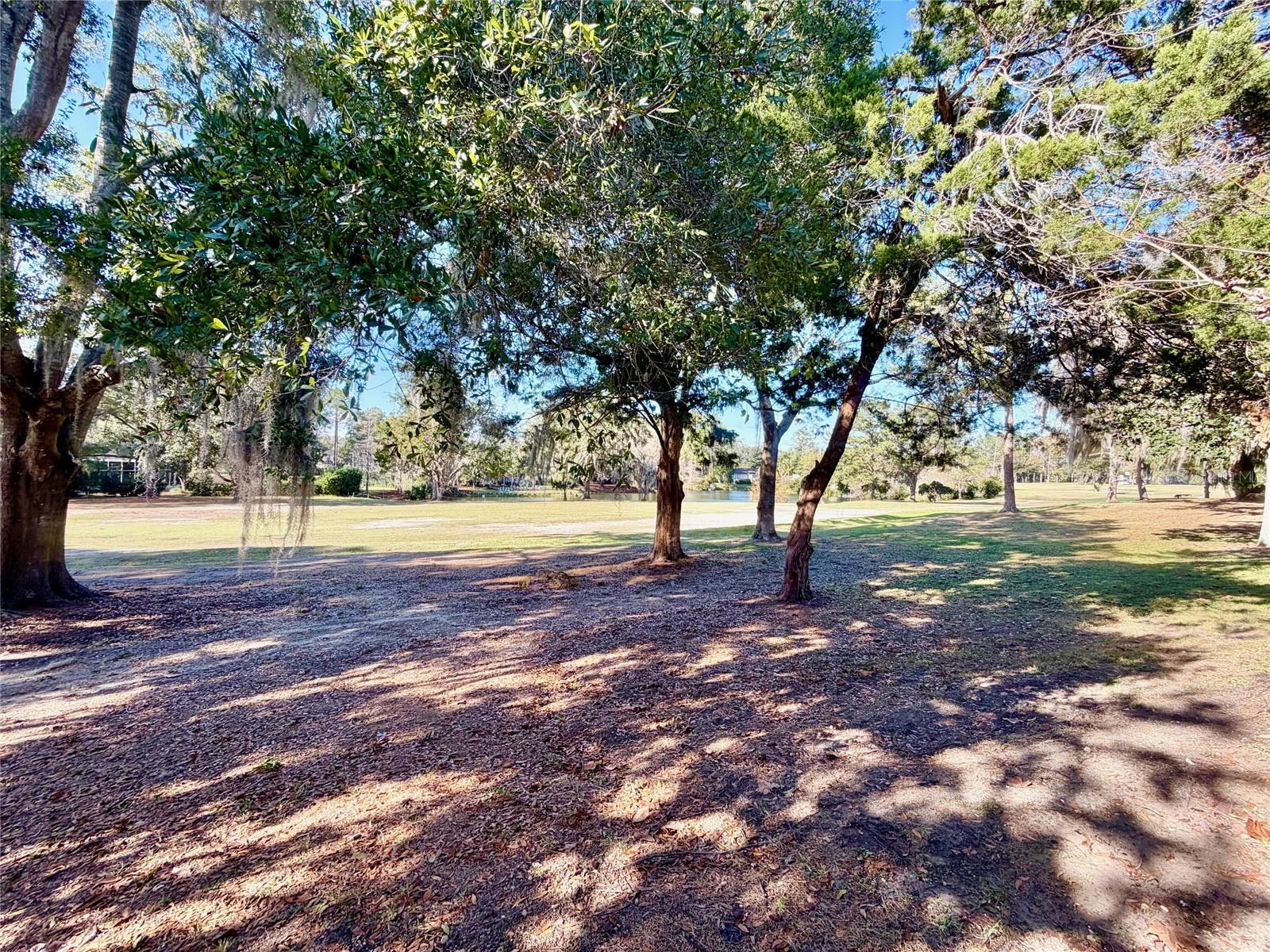 Image 20 of 24 For 6508 109th Place