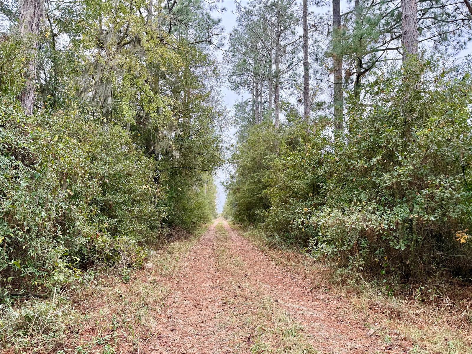 Image 14 of 15 For Tbd Cr 235