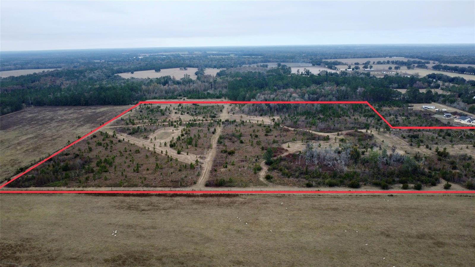 Image 6 of 15 For Tbd Cr 235