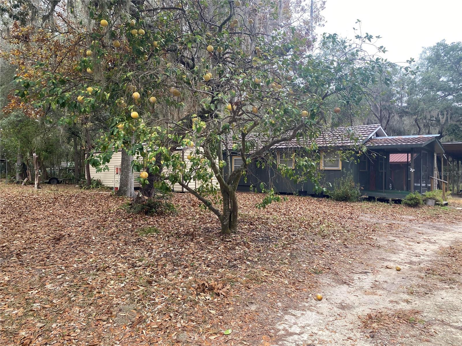 Image 25 of 34 For 8093 Breezy Point Road E