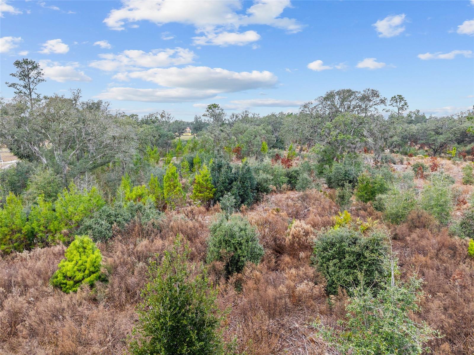 Image 5 of 9 For  131 Place 