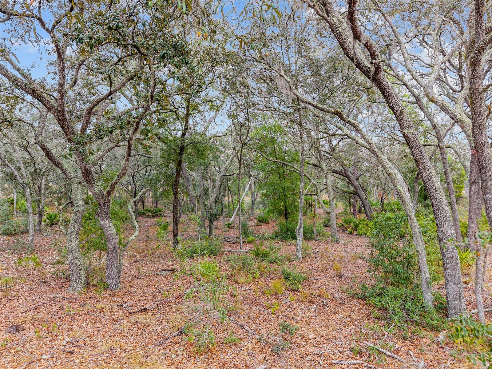 Image 6 of 9 For  131 Place 