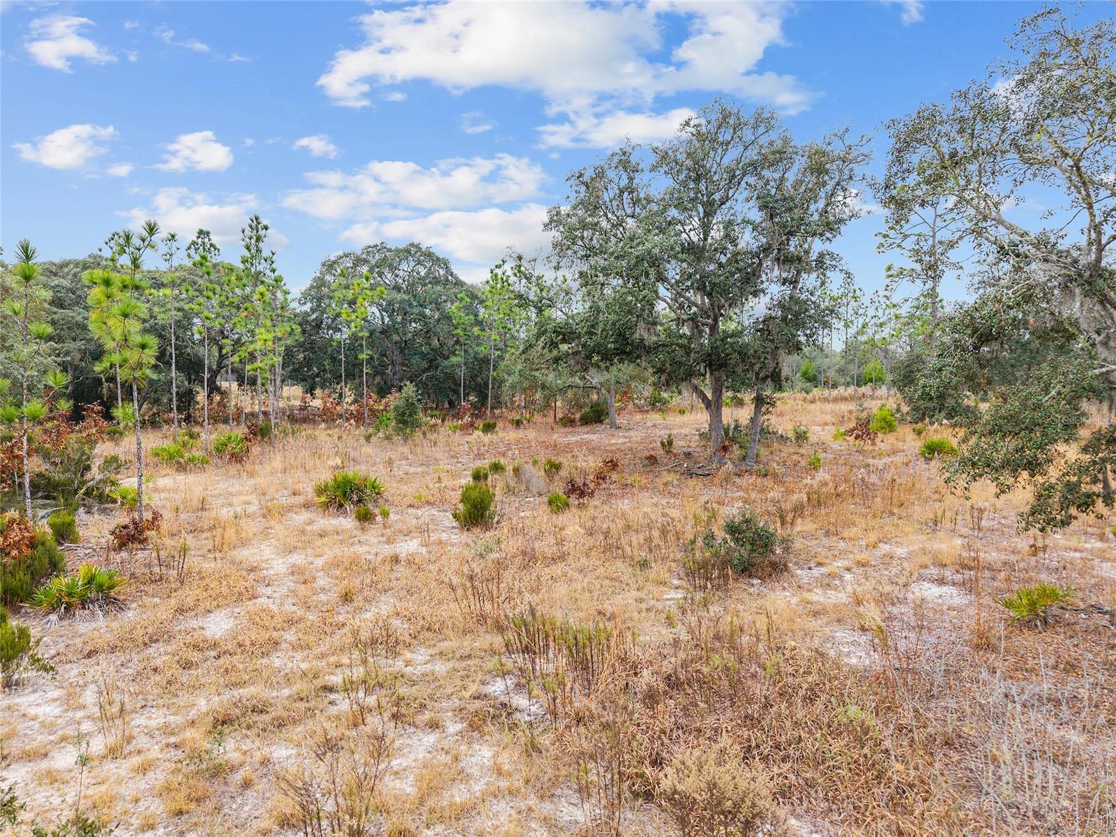 Image 7 of 9 For  131 Place 