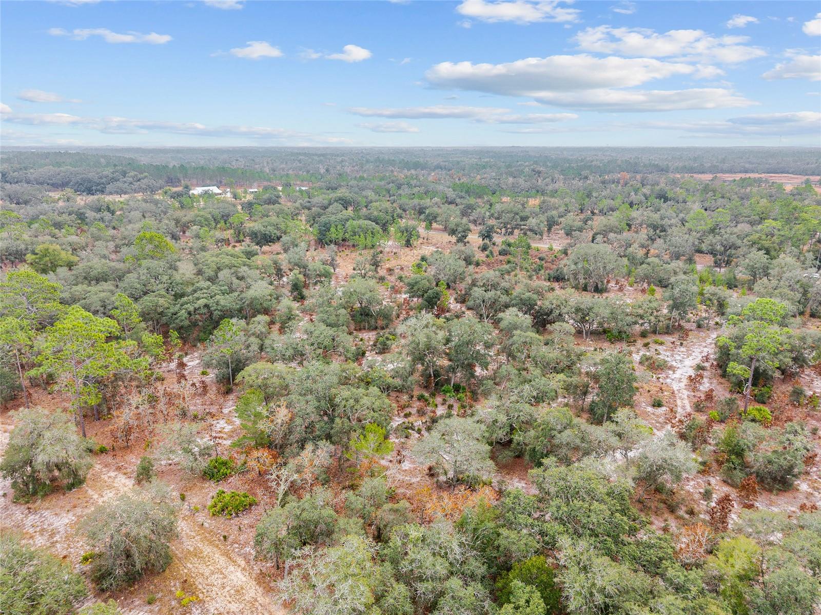 Image 9 of 9 For  131 Place 