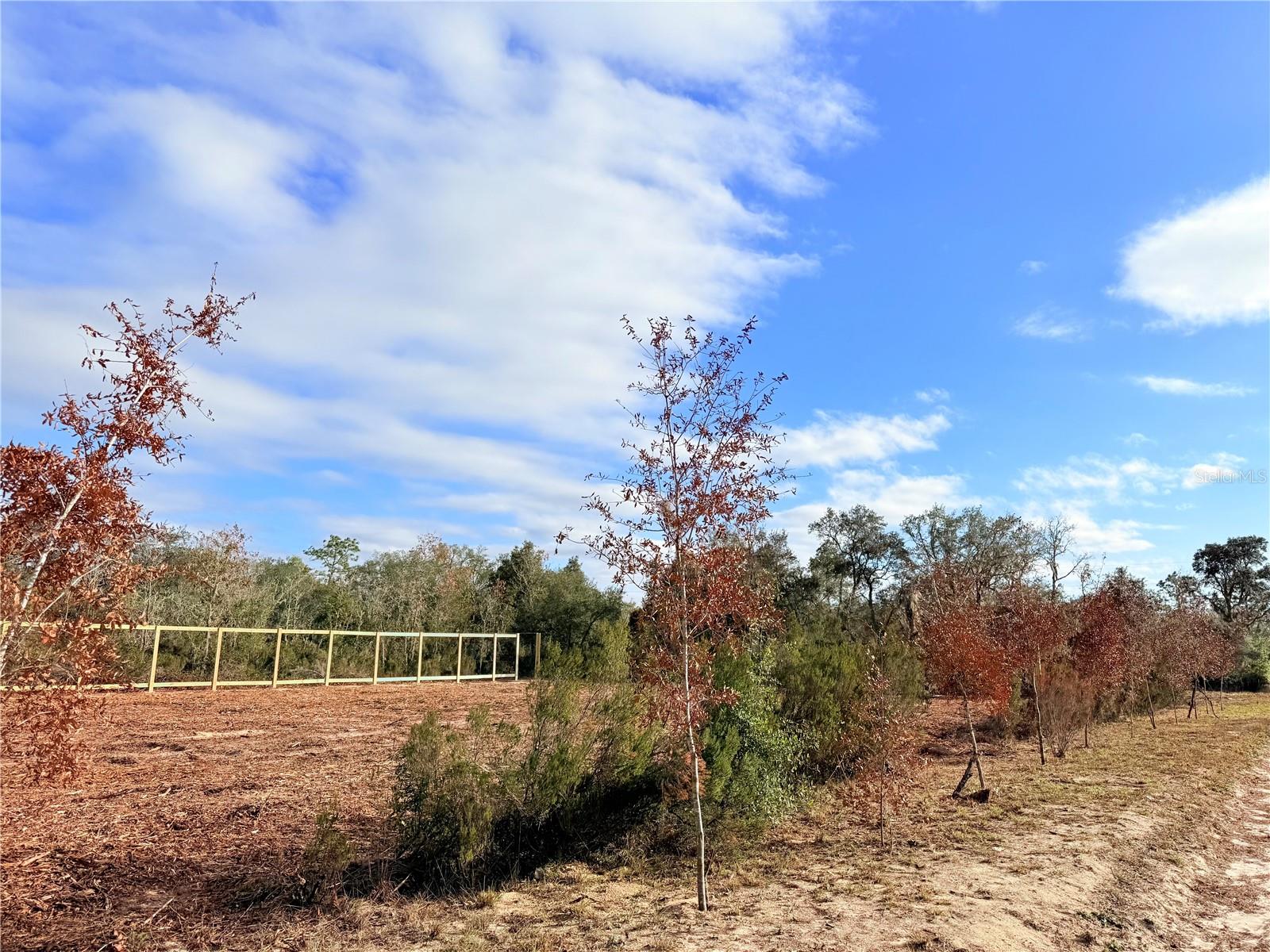 Image 2 of 7 For 000 67th Lane