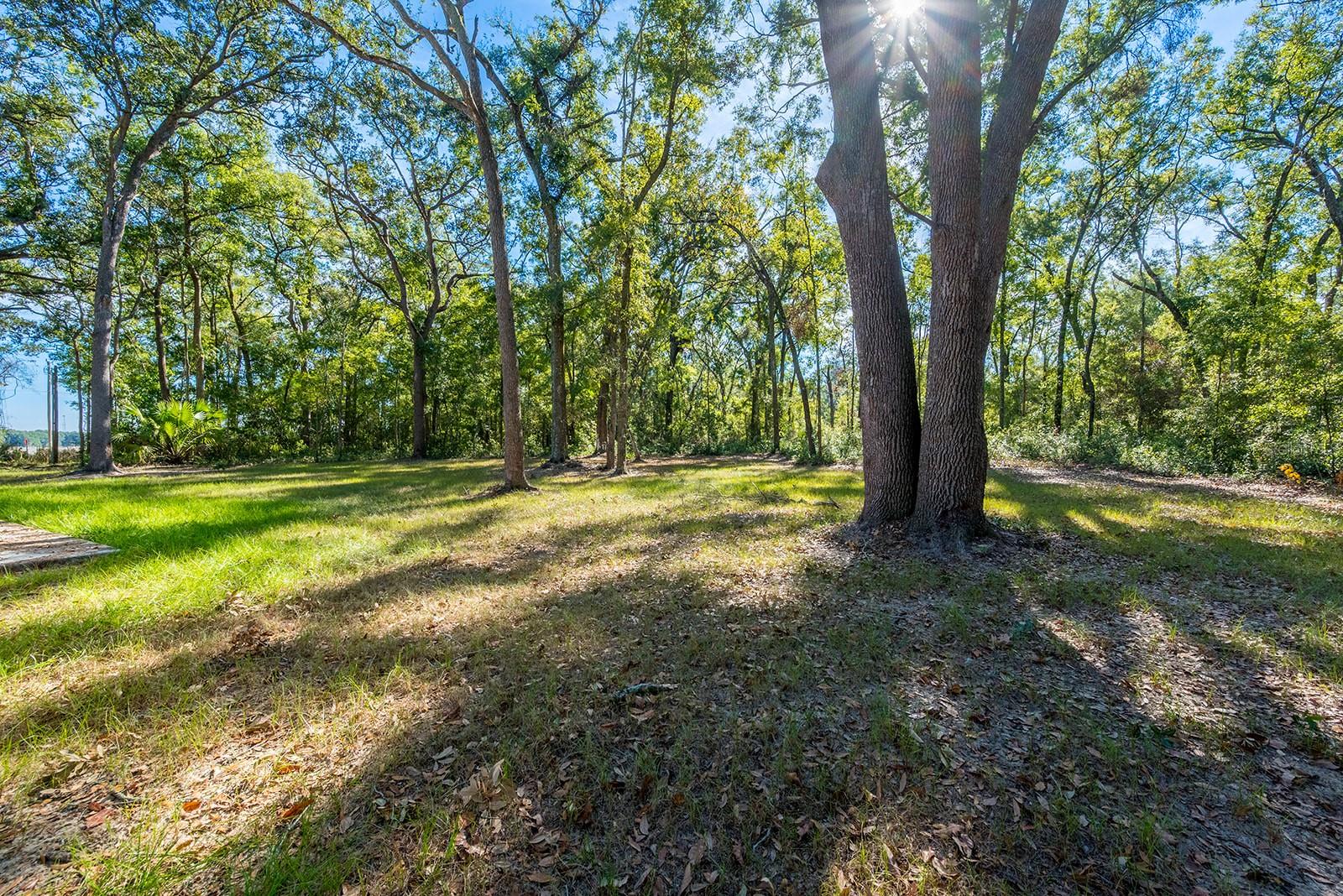 Image 12 of 49 For 4035 County Road 342