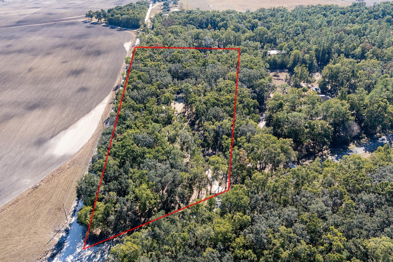 Image 15 of 49 For 4035 County Road 342