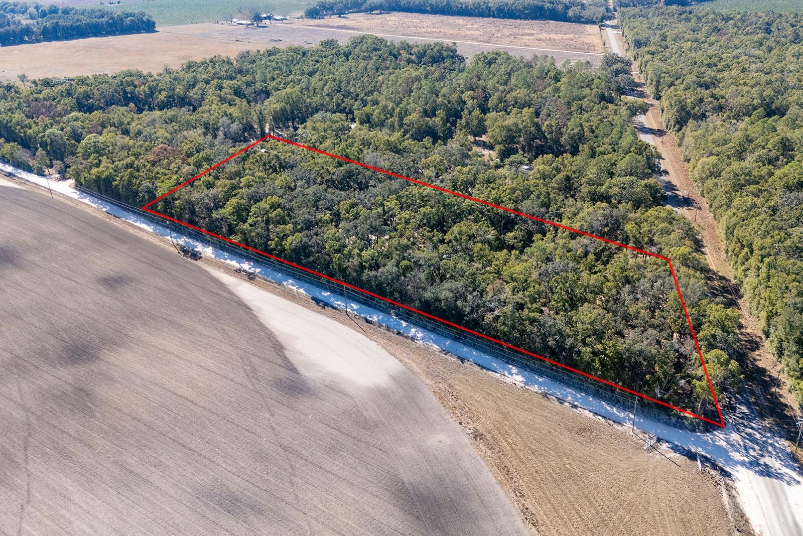 Image 16 of 49 For 4035 County Road 342