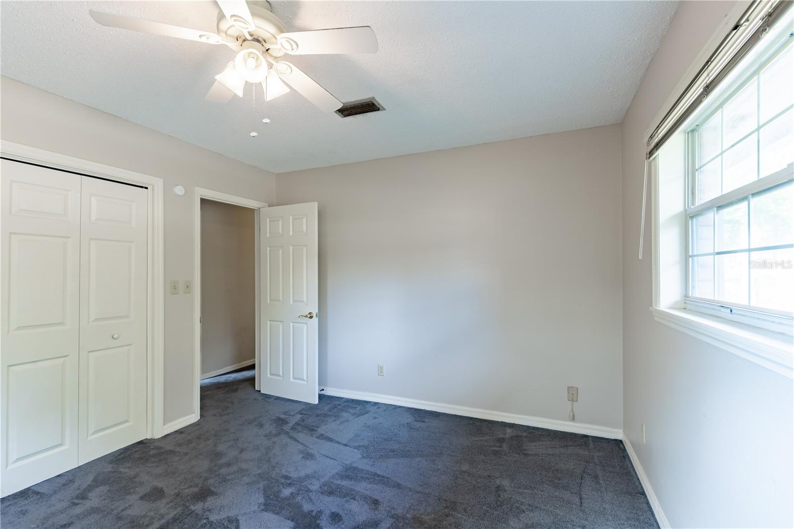 Image 29 of 44 For 420 Palmetto Avenue