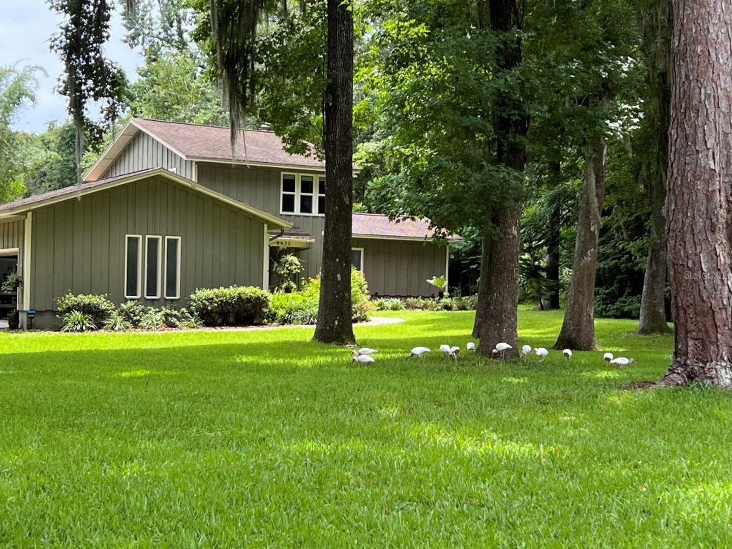 Details for 8435 6th Avenue, GAINESVILLE, FL 32607