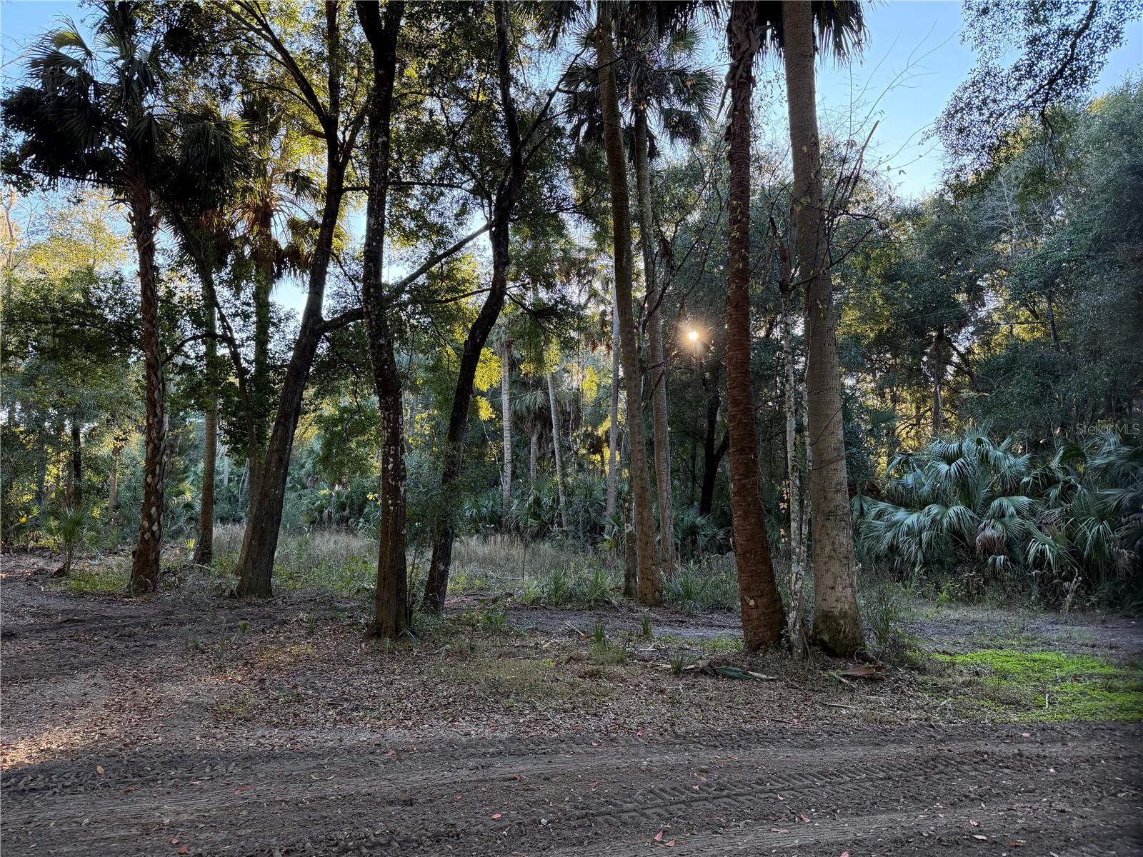 Image 15 of 19 For 19411 Us Highway 301