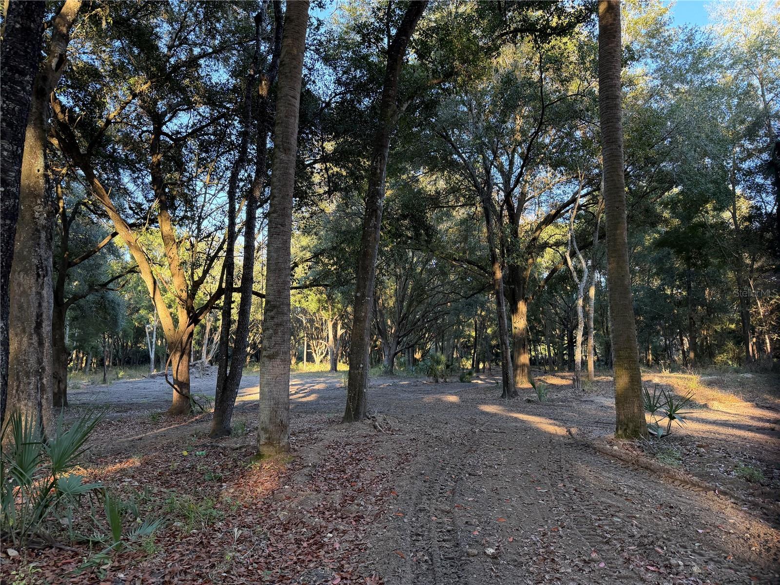 Image 16 of 19 For 19411 Us Highway 301