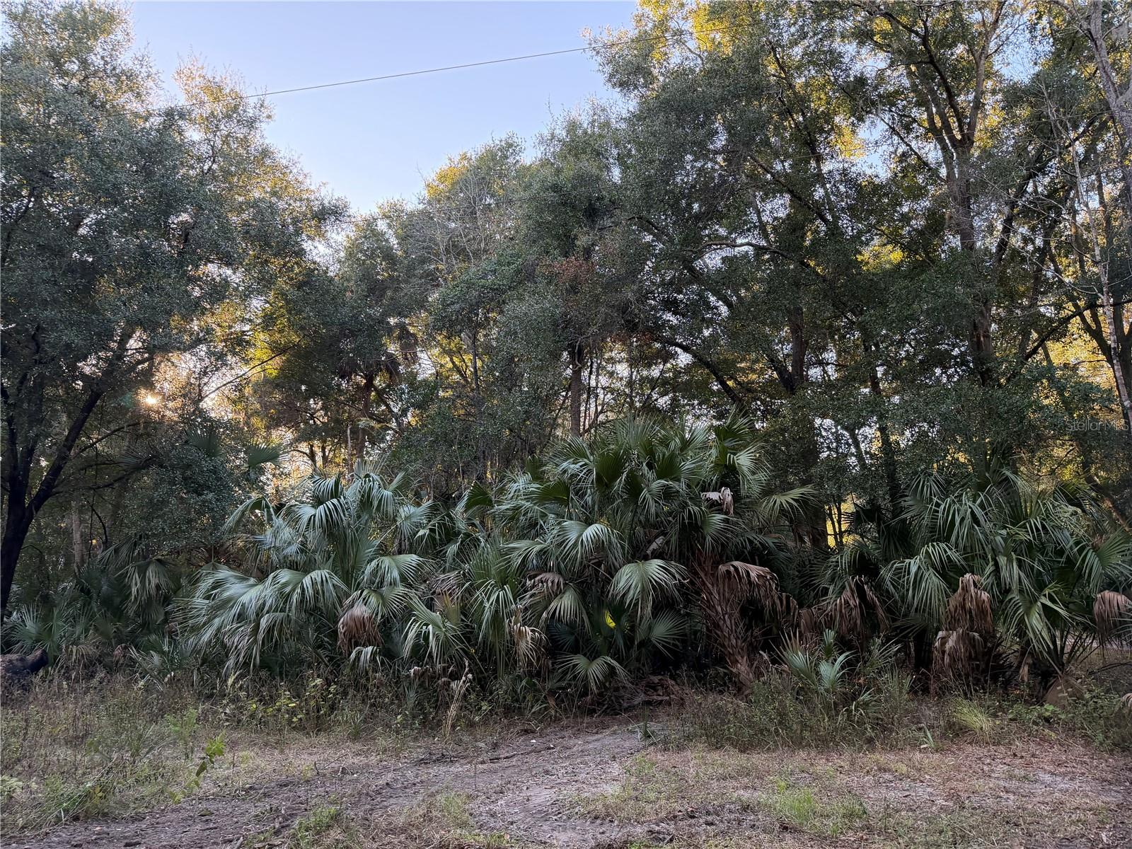 Image 17 of 19 For 19411 Us Highway 301