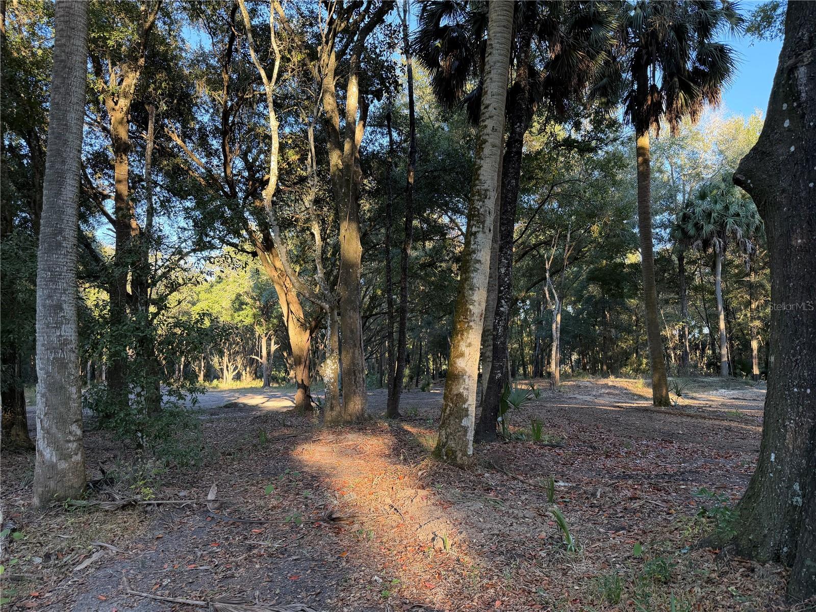 Image 18 of 19 For 19411 Us Highway 301