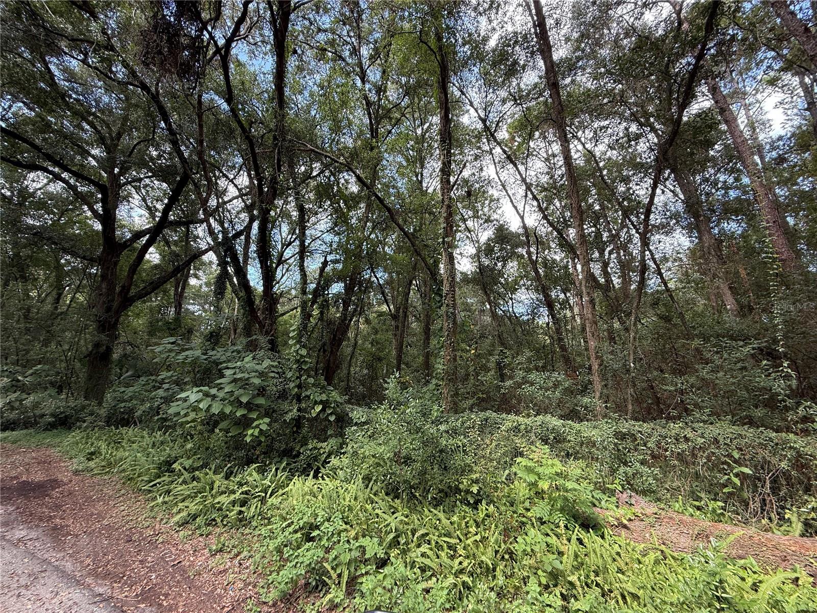 Details for  9th Place , GAINESVILLE, FL 32641