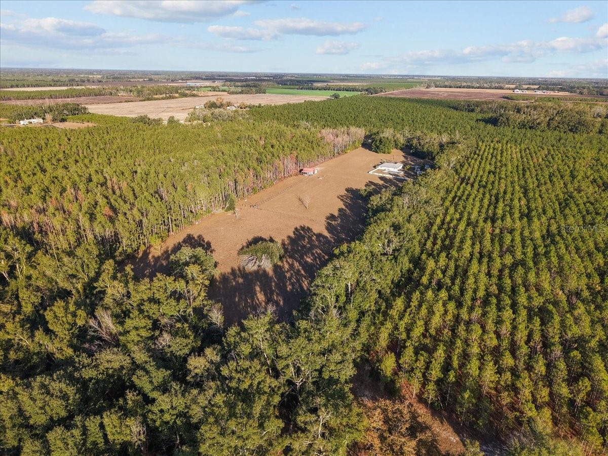 Image 28 of 36 For 13691 201st Road