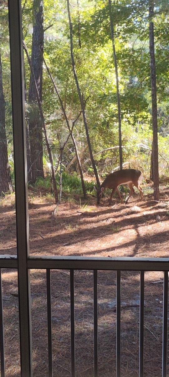 Image 32 of 37 For 4551 49th Street 104