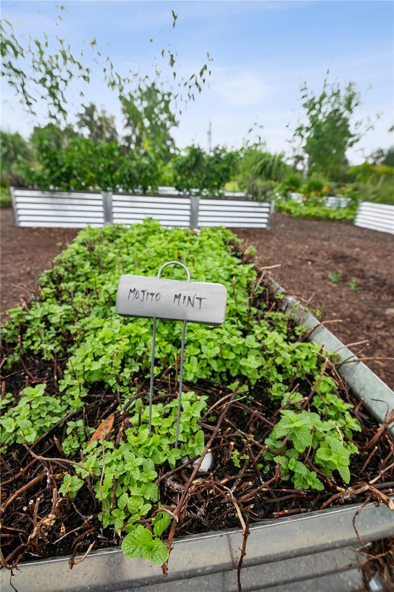 Image 16 of 21 For 6023 124th Way